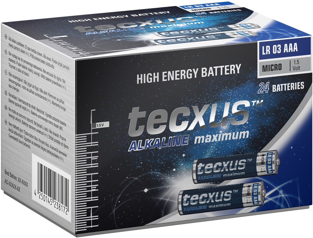 Batteria al manganese alcalino LR03/AAA (Micro) 1.5V confezione da 24  Tecxus F1463 Tecxus