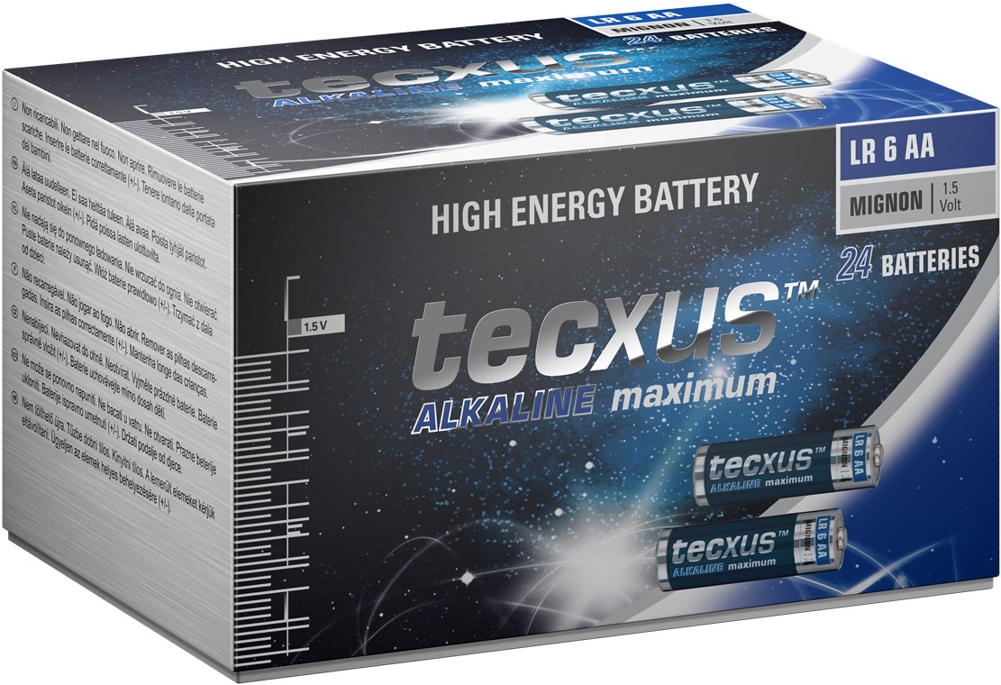 Batteria al manganese alcalino LR6/AA 12V confezione da 24  Tecxus F1473 Tecxus