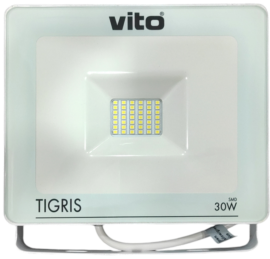 Faretto LED SMD da esterno 30W 6000k luce fredda 6000K EL040 Vito