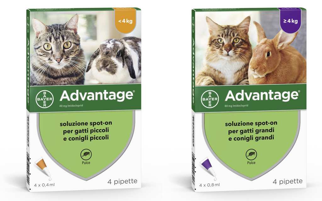 Bayer ANTIPARASSITARIO ADVANTAGE PER GATTI E CONIGLI superiori a kg. 4 (4 pipette) FV28942 Bayer