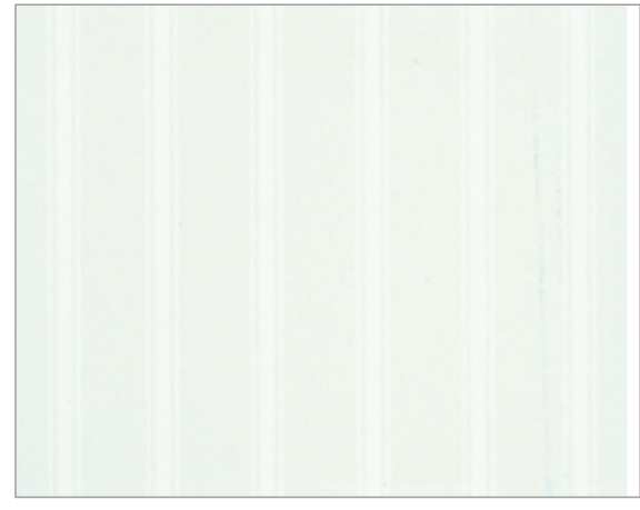 Bonita TENDA PER DOCCIA IN PVC fantasia 8000 Bianca cm. 240x200 h FV8133 Bonita