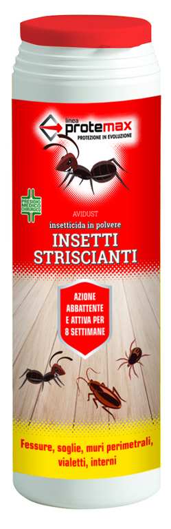 INSETTICIDA IN POLVERE  gr. 500 FV33221 