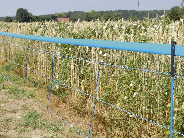 RETE ELETTRIFICABILE PER CINGHIALI WILDNET h cm. 73 lungh. mt. 50 con 12 paletti FV48065 