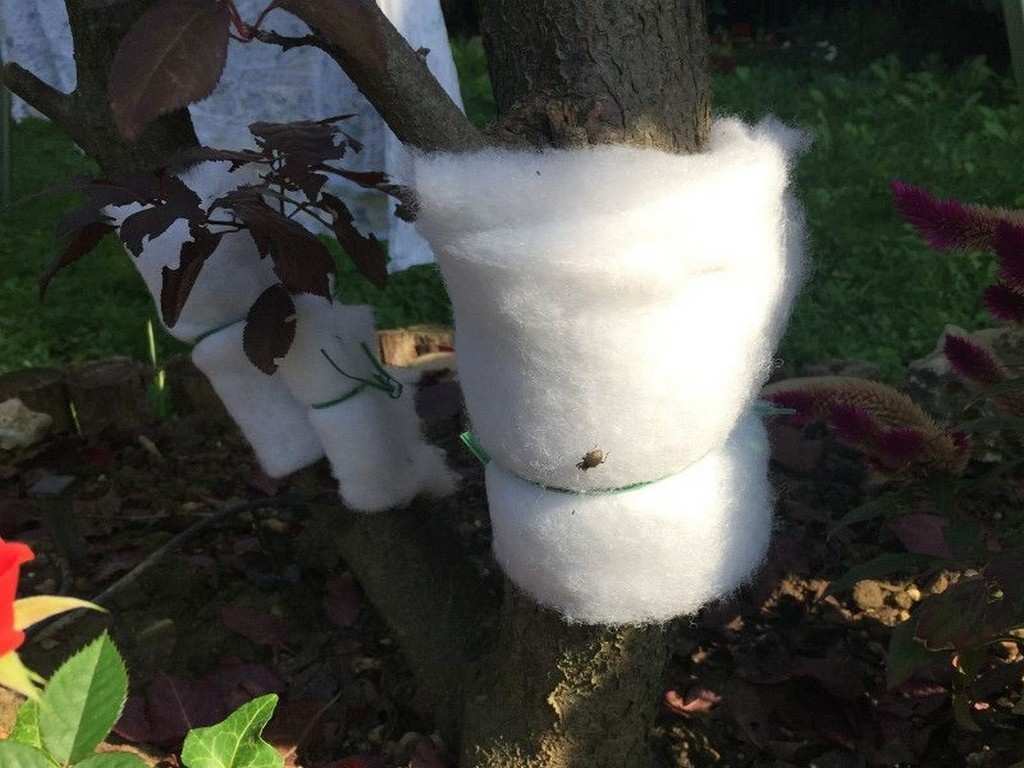 TRAPPOLA IN TESSUTO CATTURA INSETTI largh. cm. 15 lungh. mt. 20 circa FV48238 