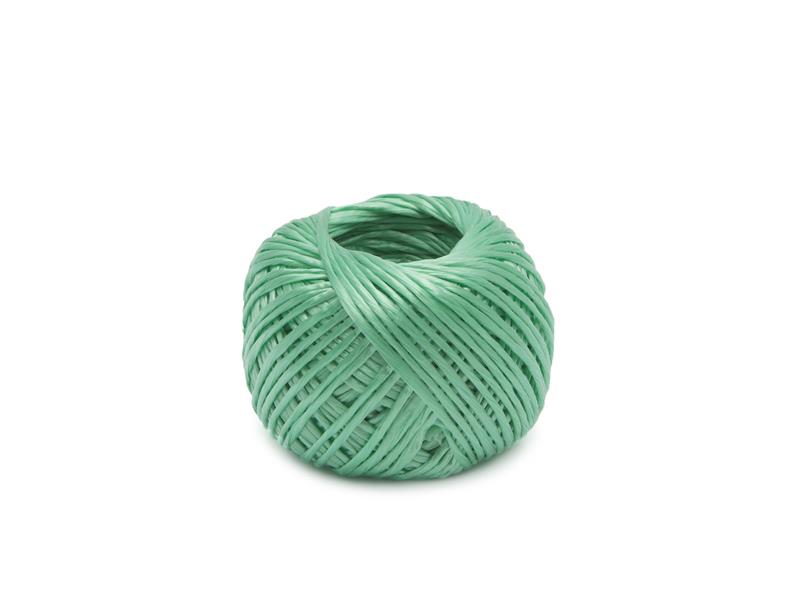 String GARDEN OF EDEN 11311 TI6433404 GARDEN OF EDEN