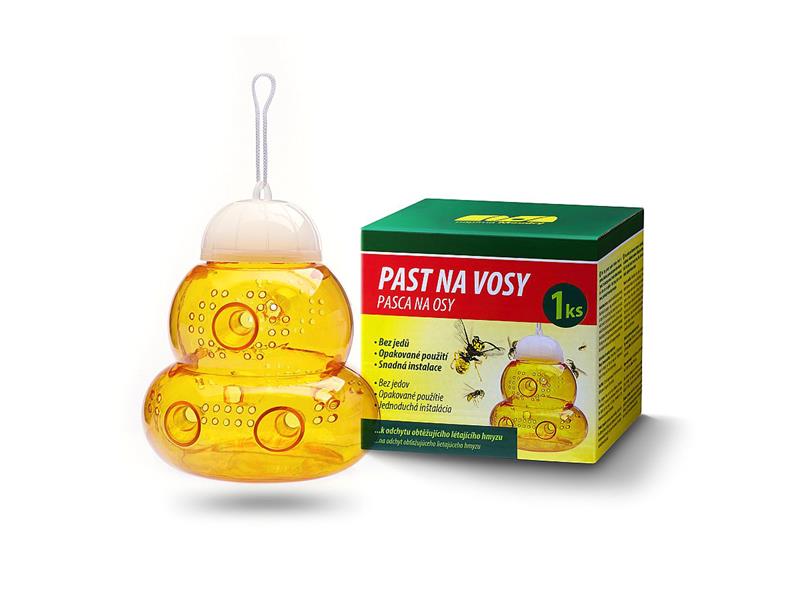 Catcher wasp MO158 TI6435311 TES