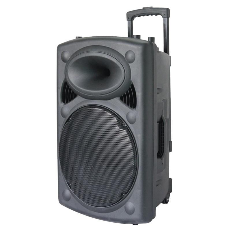 Cassa acustica amplificata 12” con microfono e telecomando Bluetooth/Radio FM ND-12 WEB
