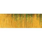 Utilia TOP QUALITY ARELLE IN CANNA DI BAMBÙ Ø mm 15 cm. 200x300  FV51917 Utilia