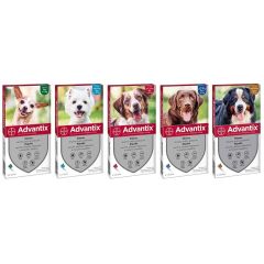 Bayer ANTIPARASSITARIO ADVANTIX (4 pipette)  per cani fino a 4 kg.  FV28937 Bayer