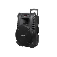 Speaker system AZUSA MIK0134EU TI5461096 AZUSA