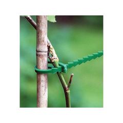 Gardening straps STREND PRO HG6171-A 120mm 80pcs TI6429929 STREND PRO