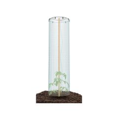 Set for growing tomatoes TOMATO GROWER CAP 38.5cm TI6437332 PROSPERPLAST