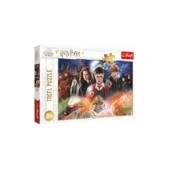 Puzzle TREFL Harry Potter - The Secret 300 pieces TI6438971 TREFL