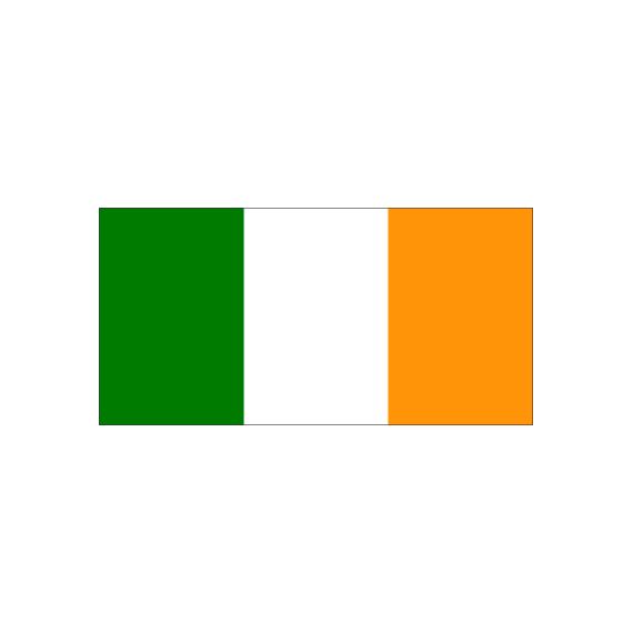 Bandiera Irlanda 135x80cm FLAG252 
