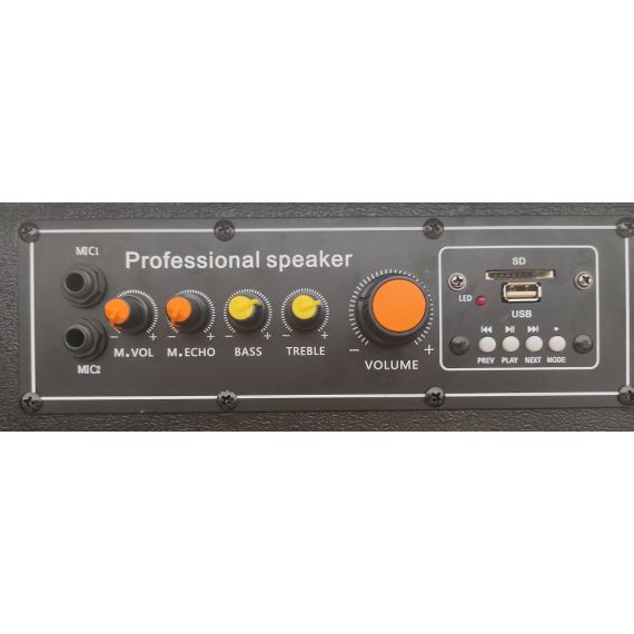 Coppia casse acustiche amplificate da 12" con Bluetooth 250W max LY33-B 