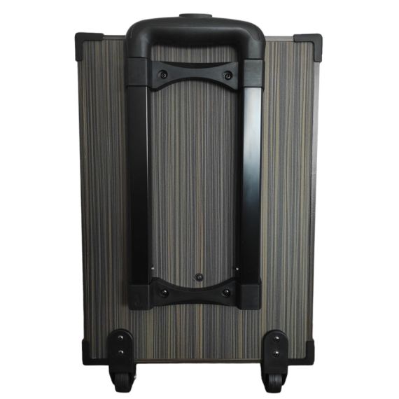 Cassa acustica portatile ricaricabile trolley 10" 80W Bluetooth/SD/USB D-10 