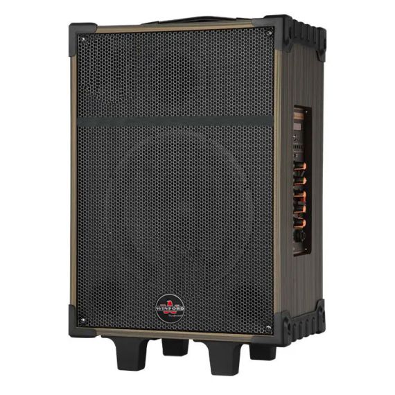 Cassa acustica portatile ricaricabile trolley 10" 80W Bluetooth/SD/USB D-10 