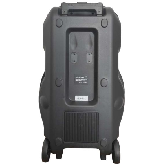 Cassa acustica trolley 15" Luce LED Bluetooth/SD/USB/Radio Q1518A WEB