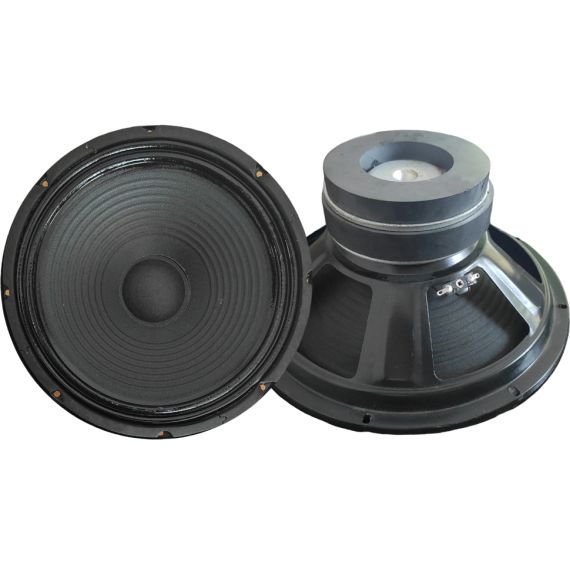 Woofer 10" 255mm 200W 4 Ohm doppio magnete SP429 