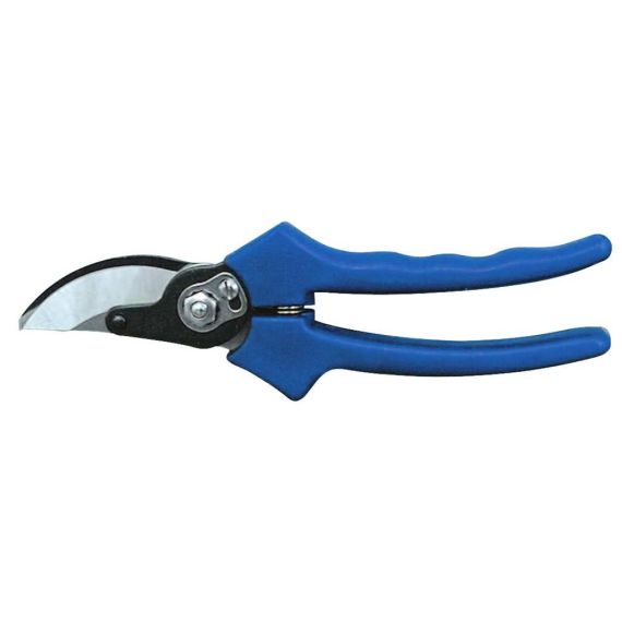 2 Buoi FORBICI DA VIGNA LAME I/C 149/22 FV1618 2 Buoi