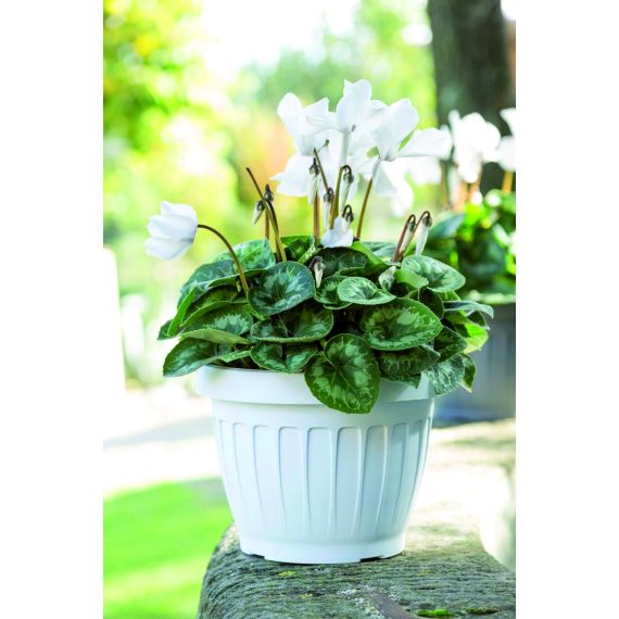 Bama VASO TONDO TERRA Col. Bianco Ø cm. 35x26 h FV53042 Bama