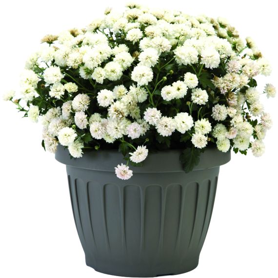 Bama VASO TONDO TERRA Col. Cappuccino Ø cm. 40x30 h FV53047 Bama