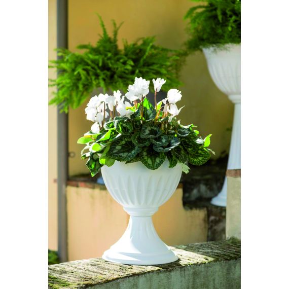 Bama VASO A CALICE ALBA Col. Bianco Ø cm. 43x46 h FV53180 Bama