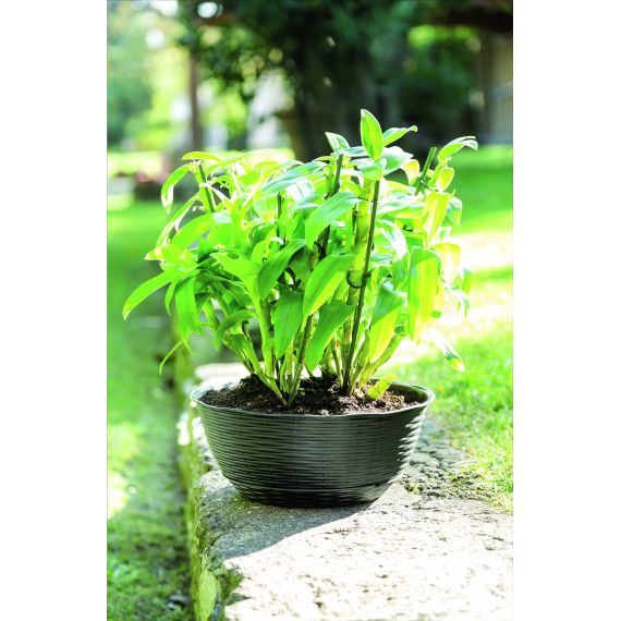 Bama CIOTOLA PAGLIA Col. Antracite Ø cm. 40x17 h FV53147 Bama