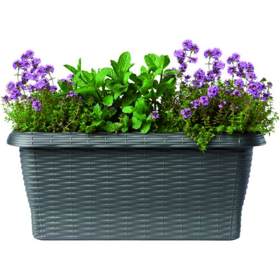 Bama FIORIERA RETTANGOLARE PAGLIA NORMAL Col. Antracite cm. 40x20x17,5 h FV53131 Bama