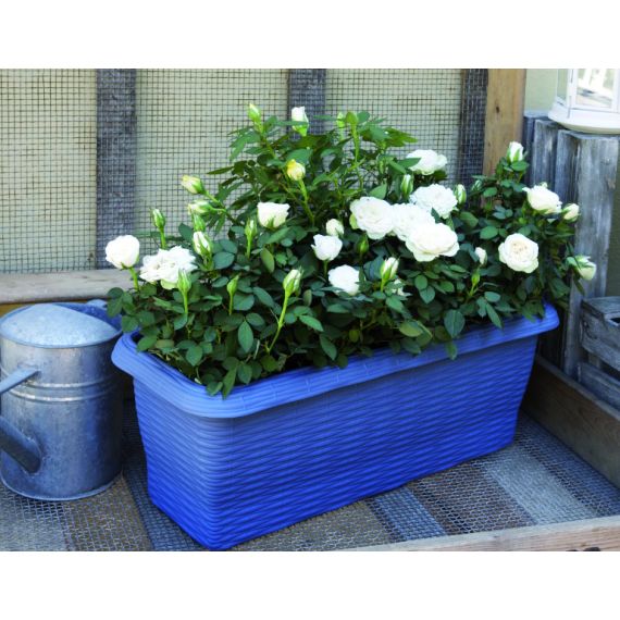 Bama FIORIERA RETTANGOLARE PAGLIA NORMAL Col. Cielo cm. 50x20x17,5 h FV53135 Bama