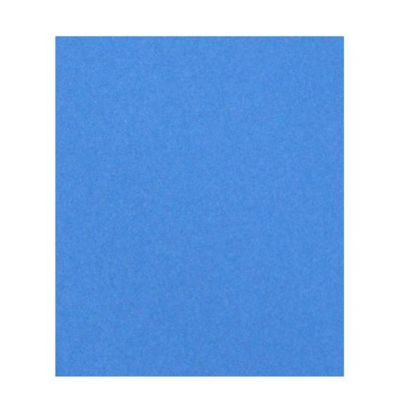 Bosch FOGLIO ABRASIVO  grana 60 FV30663 Bosch