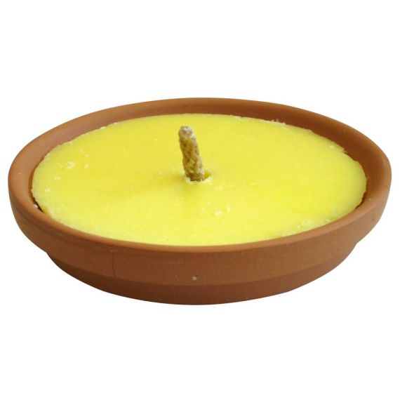 CITRONELLA IN PADELLA DI TERRACOTTA MADE INTALY  Ø cm. 14 FV27894 