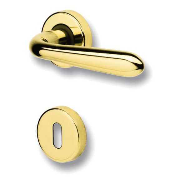 Ghidini MANIGLIA GM05 CON ROSETTA ZCS FV29870 Ghidini