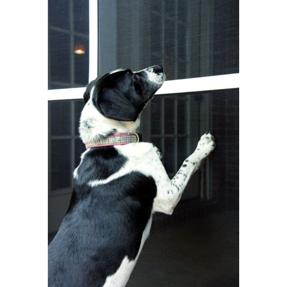 Phifer ZANZARIERA A ROTOLO IN POLIESTERE/PVC PETSCREEN MT.30,5 col.Nero maglia mm.17x10 H. cm. 91,44 FV49742 Phifer