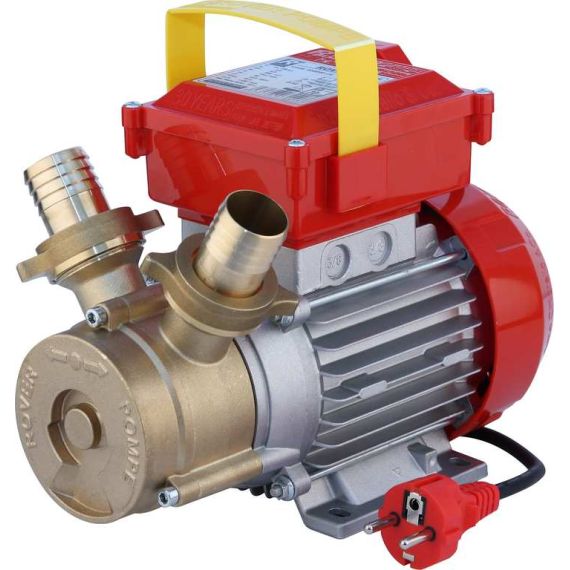 Rover Pompe ELETTROPOMPA DA TRAVASO BE-M 40  Hp 1,2 (Ø mm. 40) FV17110 Rover Pompe