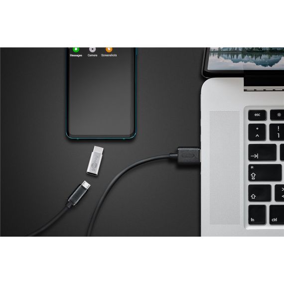 Adattatore da USB-C a USB 2.0 Micro tipo B, argento WE56636 Goobay