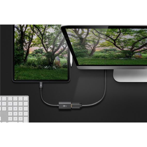 Adattatore da USB-C a HDMI WE38532 Goobay