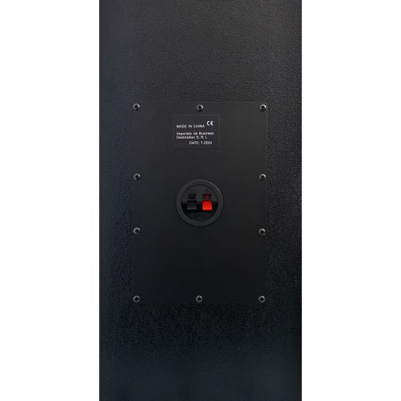 Coppia casse acustiche passive 150W PM-100PP 