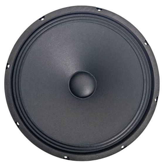 Woofer 12” 300mm 100W 4Ohm SP6940 