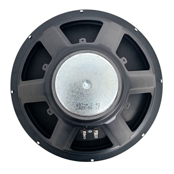 Woofer 12” 300mm 100W 4Ohm SP6940 