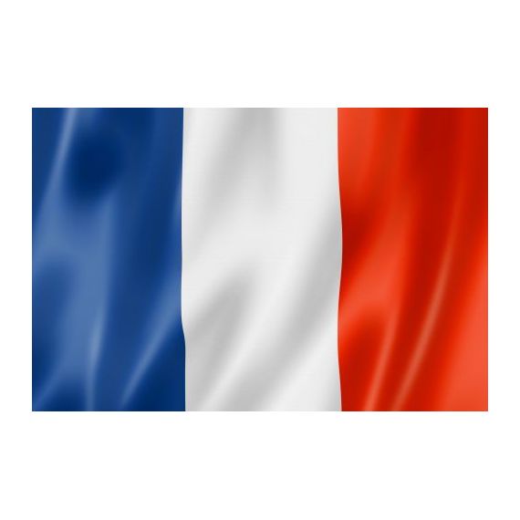 Bandiera Nazionale Francia 80x135 cm FLAG195 